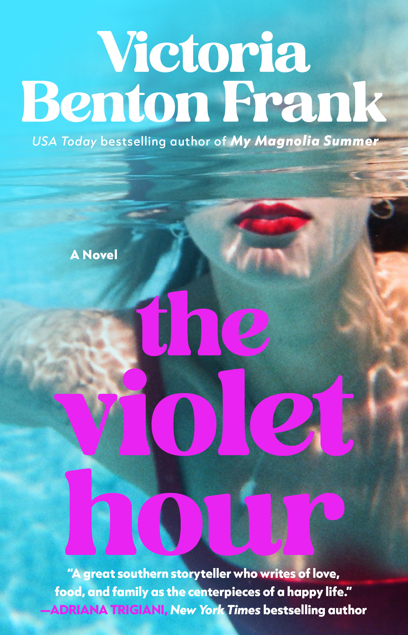 The Violet Hour A Novel - Victoria Benton Frank